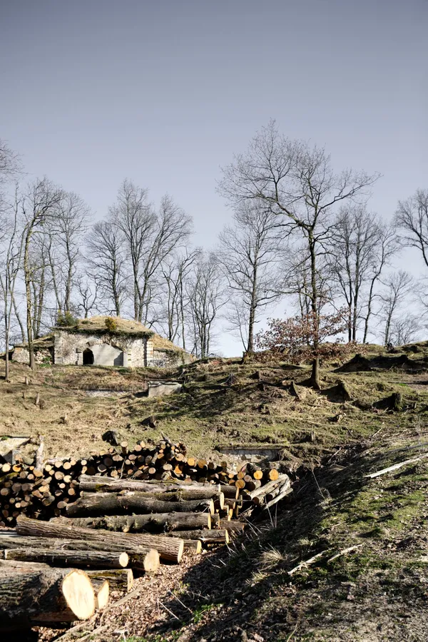 Image du portfolio
