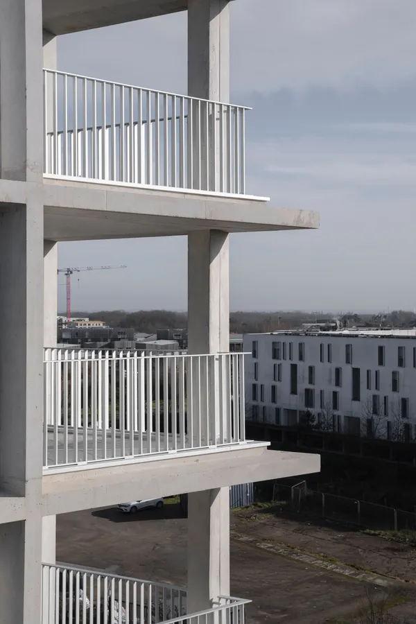 Image du portfolio